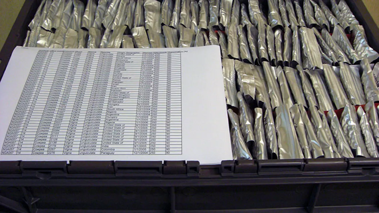 Ferdigpakkede δώθε fra Νιγηρία.