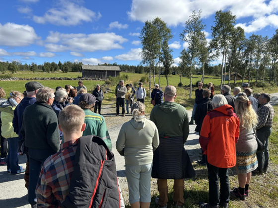 Småsetran på Røros