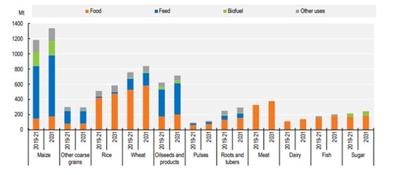 Figur 1. Global produksjon av en del sentrale matprodukter fram mot 2031.