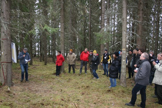 Orientering om skog og skogforhold i Troms ved fylkesskogmester Brynjar Jørgensen.