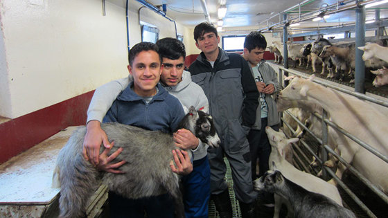 Nokre av ungdomane som er på besøk hos Monika og Vidar.