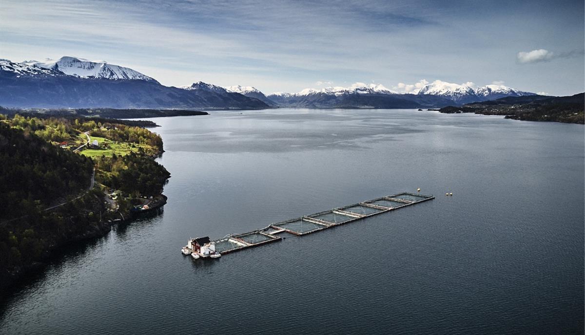 Fish farming in Norwegian fjords