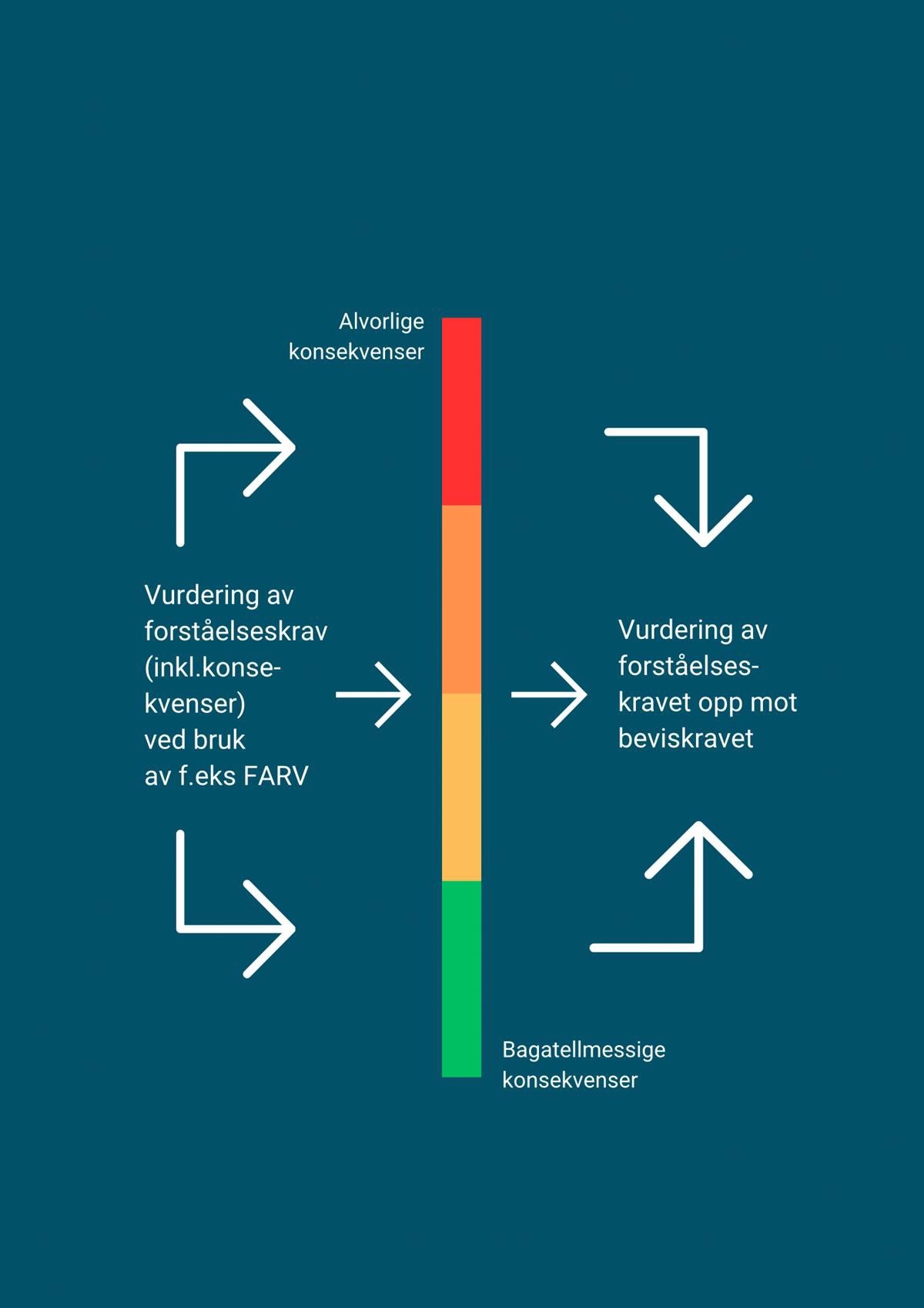 Skjematisk fremstilling av gangen i en kompetansevurdering med vurderingen av forståelseskravet
og beviskravet