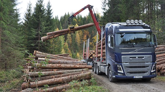 Et godt utbygd skogsveinett er en forutsetning for å styrke skognæringen.