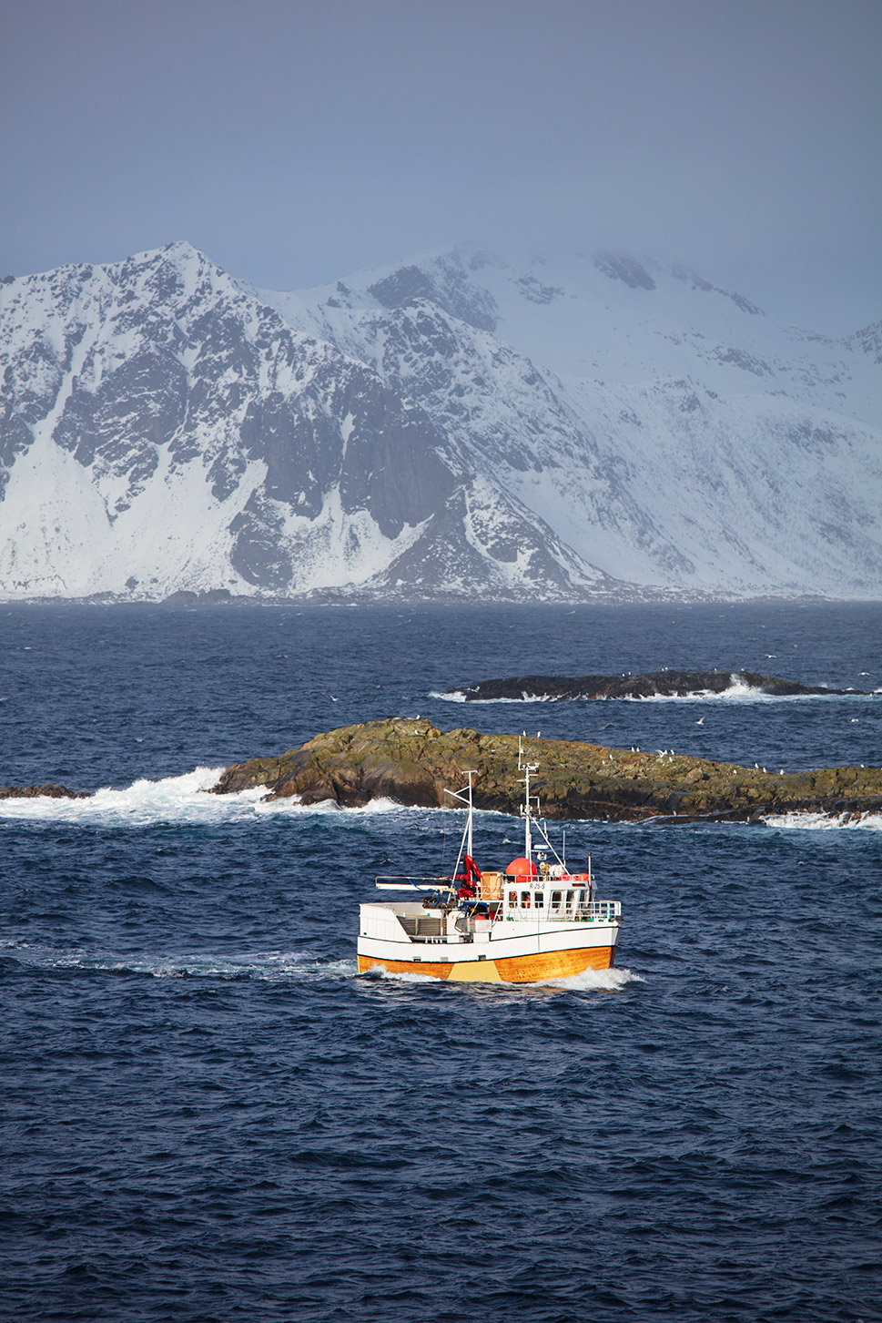Figure 3.5 Less spawning cod in Nordland.