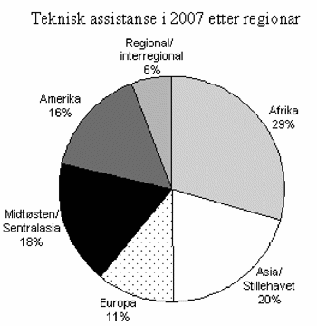 Figur 7.3 Teknisk assistanse i 2007 etter regionar