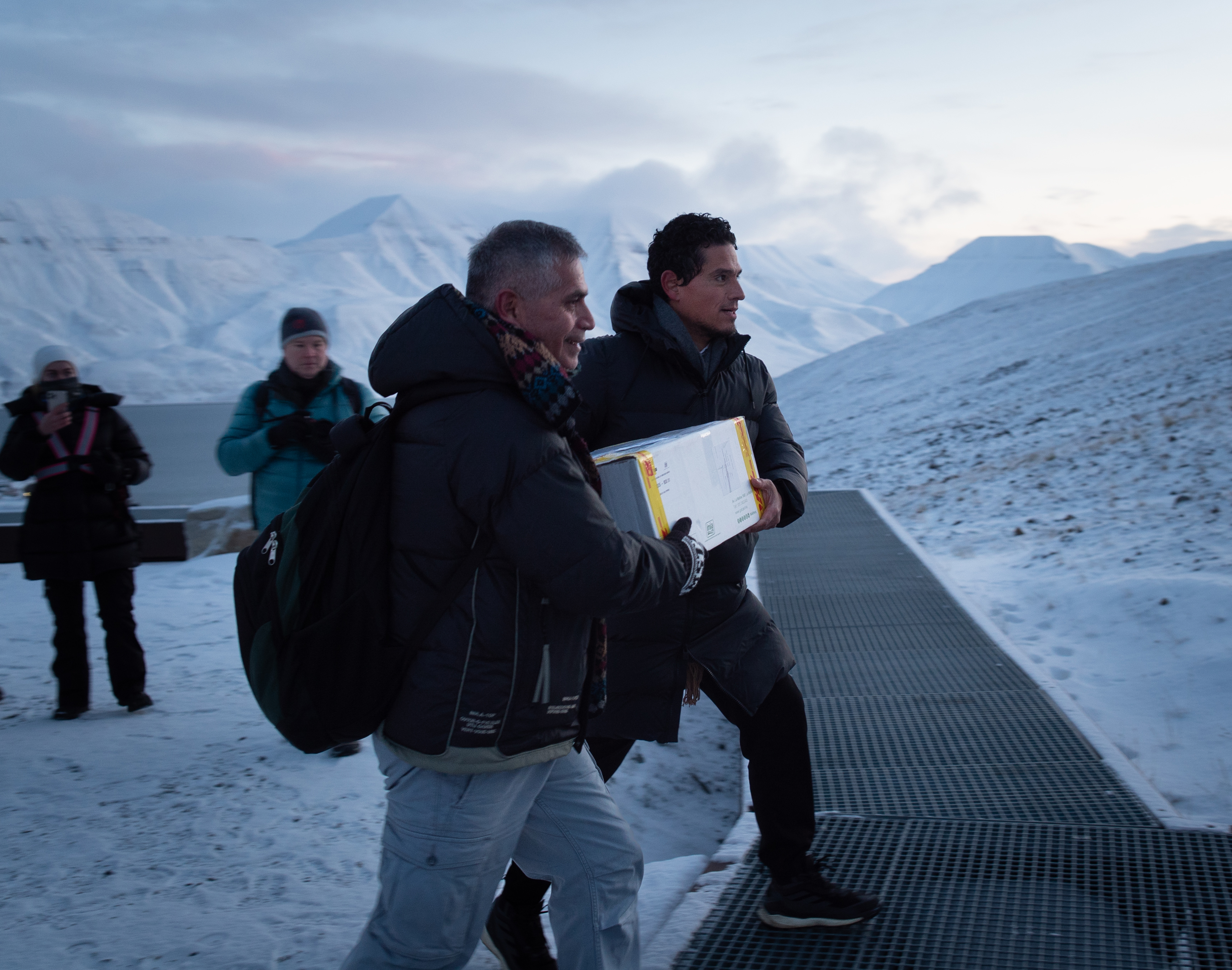 Frøprøver blir båret mot frøhvelvet.