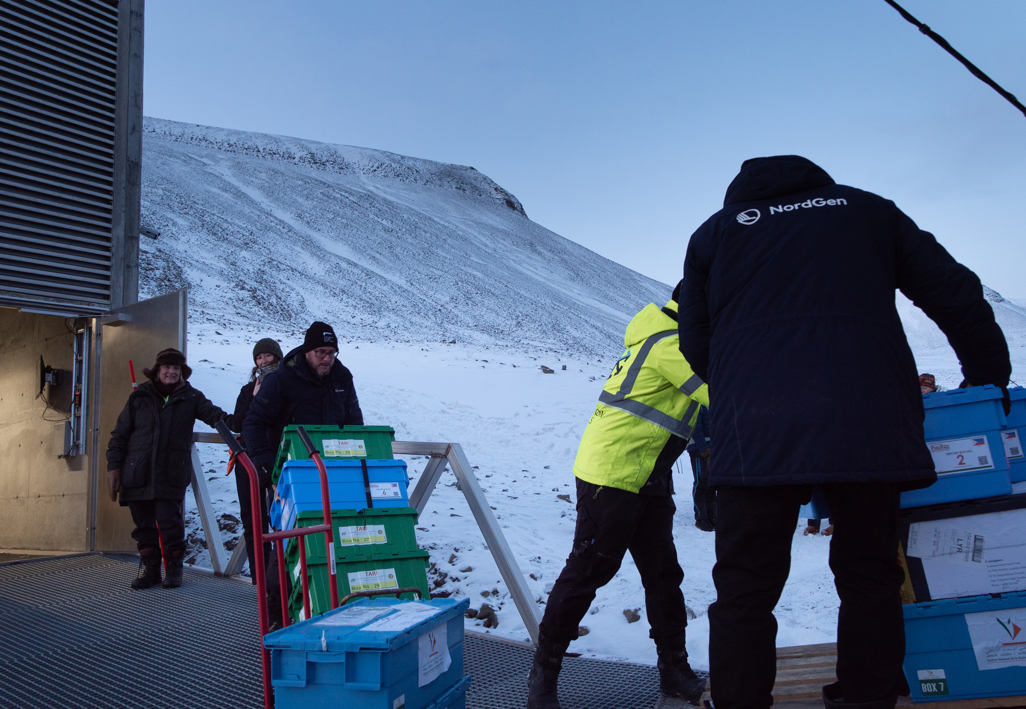 Kasser med frøprøver utenfor hvelvet.