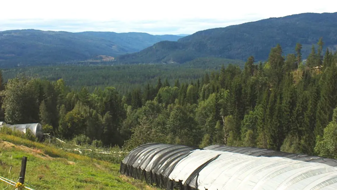 300 meter over havet ligger Høgetveit gård i Evje.