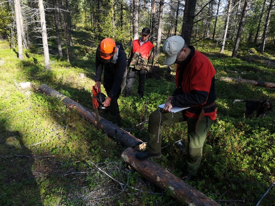 Feltarbeid i Pasvik.