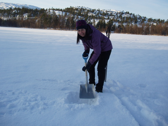 Signe Olaussen kontroll av produksjonstilskudd, Alta 30 oktober 2019.
