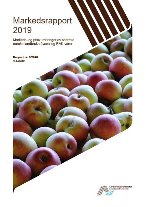 forside Markedsrapport 2019