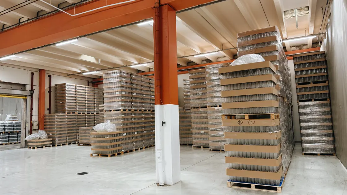 Paller fra gulv til tak med tomme plastflasker på en brusfabrikk