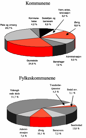 Figur 5.5 Sammensetningen av kommunesektorens utgifter. Bruttoutgifter etter utgiftsområder som andel av totale bruttoutgifter i 2002. Prosent
