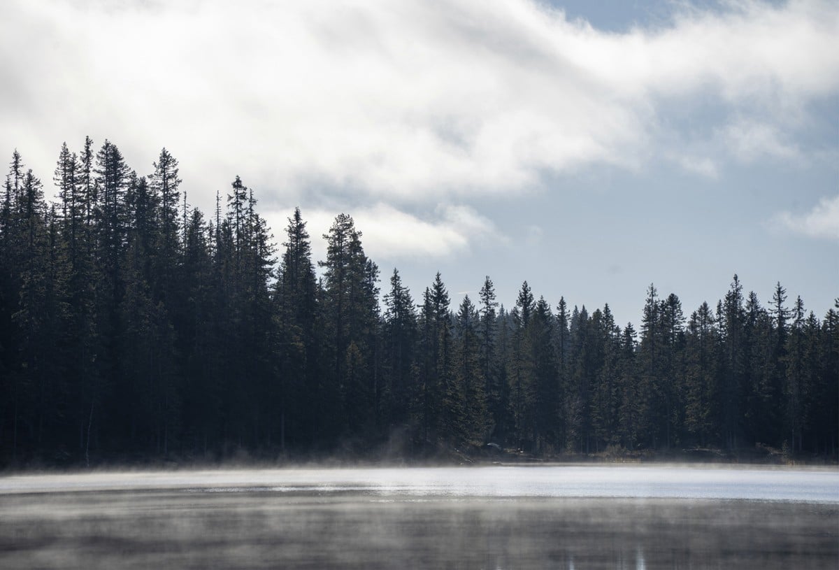 Et landskap med vann i forgrunnen og skog i bakgrunnen, under blå himmel med spredte skyer.