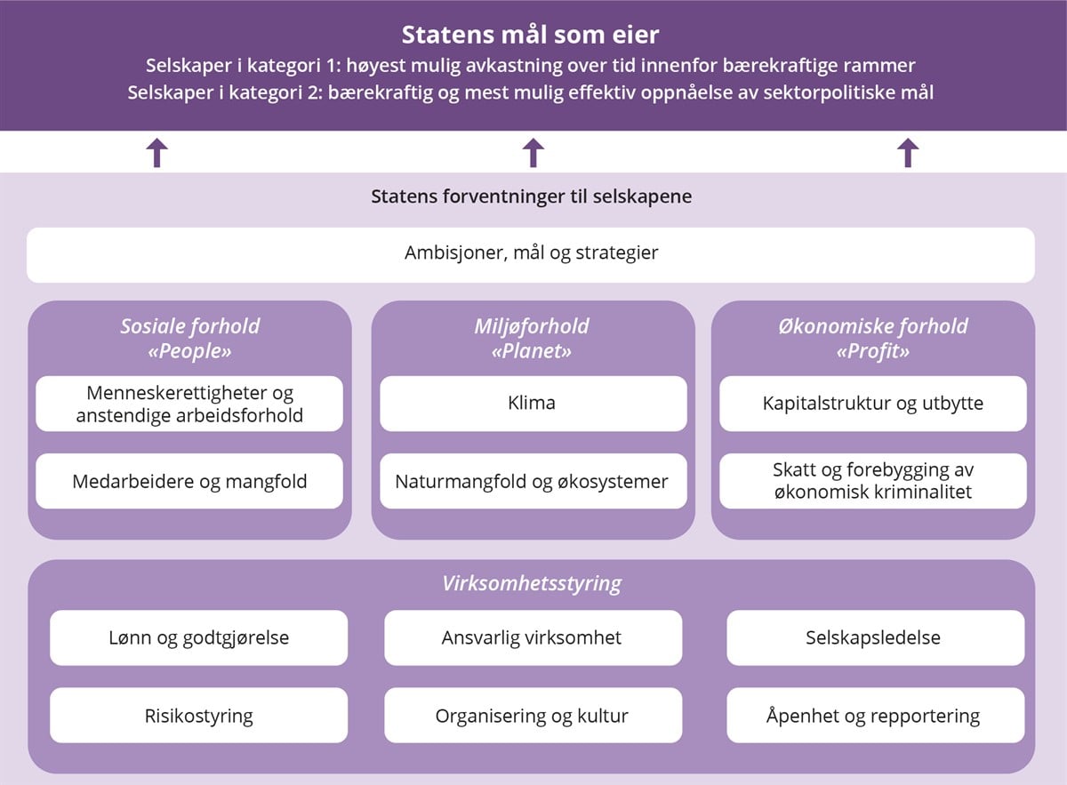 Skjematisk fremstilling av Statens forventninger til selskapene og Statens mål som eier