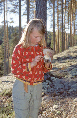 Figur 11.5 Grunntanken bak forvalteransvaret er at vi skal etterlate et
samfunn som er i minst like god stand som det vi selv overtok.
Ikke minst generasjonsperspektivet må gjenspeiles i målet om
en bærekraftig utvikling.