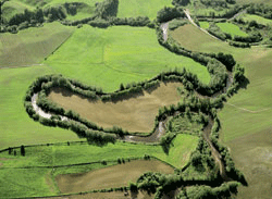 Figur 4.5 Leira i Nannestad, Akershus. Typisk meanderende elv. Naturtypen ”kroksjøer,
flomdammer og meandrerende elveparti” defineres ut fra
opphav og flompåvirkning og kan inkludere flere vegetasjonstyper.