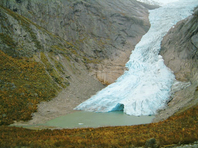 Figur 7.10 Briksdalsbreen høsten 2004. I 1996/97 lå brefronten
ved utløpet av Briksdalsbrevatnet. Avstanden mellom utløpet
av vannet og dagens brefront er 230 meter. De lyse partiene på begge sider
av breen viser breens utbredelse i 1996/97.