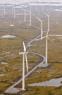 Figur 7.2 Flere vindmølleparker planlegges i Norge. Stortinget
 har som mål at det produseres 3 TWh vindkraft innen 2010.
 For å unngå negative virkninger av vindkraft på fugler
 og pattedyr er god planlegging nødvendig. 
 Her fra Smøla Vindpark.
