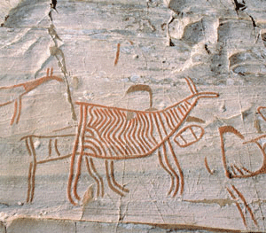 Figur 8.2 Rike forekomster av vilt, fisk og andre naturressurser var
en grunnleggende forutsetning for den første bosettingen
i Norge for ti tusen år siden. De mange og vakre helleristningene
vi finner rundt om i landet vårt vitner om steinaldermennesket...