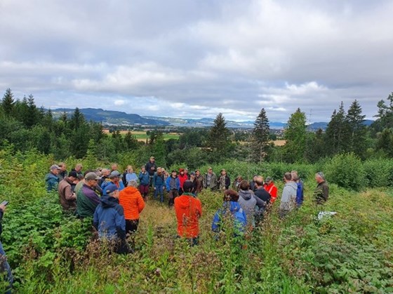 Kommunal skogforvaltning fra Oslo og Viken diskuterte utfordringer med foryngelse i høgproduktive Trønderske skoger.