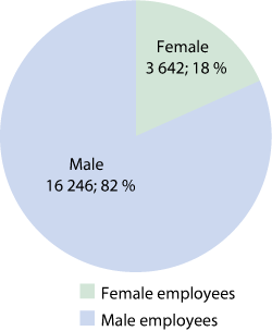 Figure 1.3 Distribution between male and female employees in the defence sector
