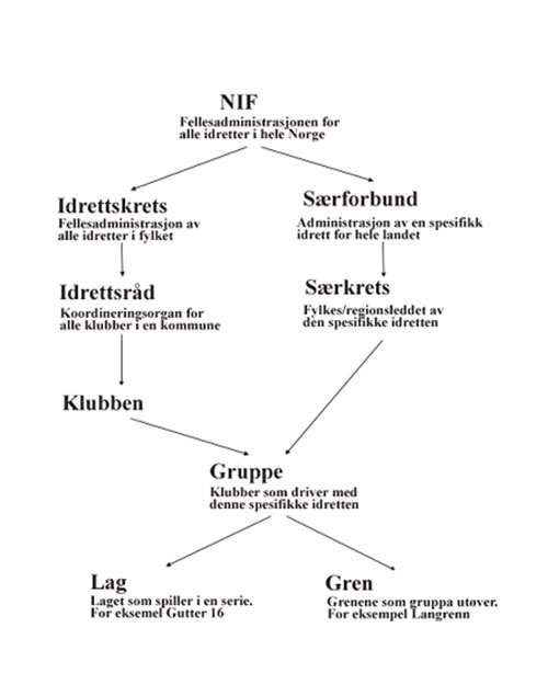 Figur 2.1 Idrettens organisering.