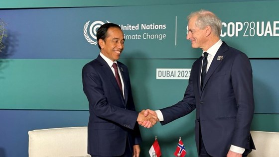 Norges støtte ble annonsert på et møte mellom Indonesias president Joko Widodo og statsminister Jonas Gahr Støre, på FNs klimatoppmøte den 1. desember.