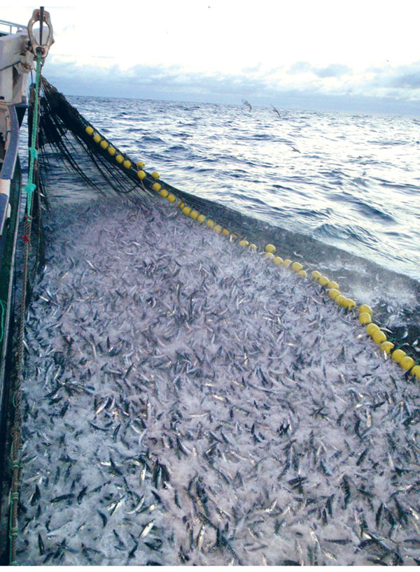 Figure 5.2 Catches landed by Norway’s fishing fleet generate large annual revenues.