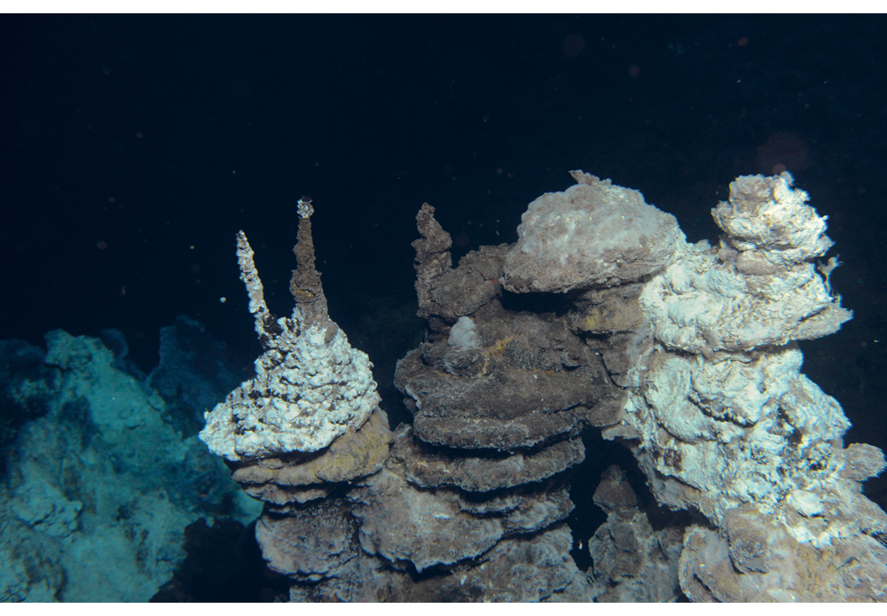 Figure 5.5 Exploitation of seabed minerals may become an important industry in the long term. Pictured are hydrothermal vents in the Soria Moria field, between Jan Mayen and Bjørnøya.