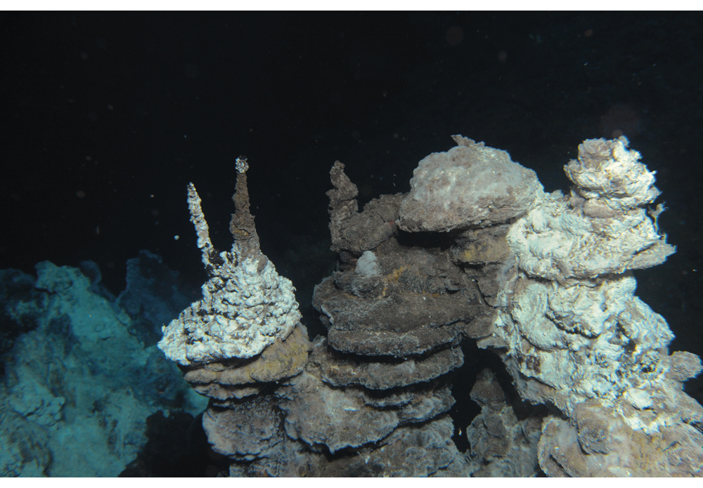 Figur 5.5 Utnyttelse av mineraler på havbunnen kan bli en viktig næring på lengre sikt. Bildet viser hydrotermale skorsteiner på Soria Moria-feltet, som ligger mellom Jan Mayen og Bjørnøya.
