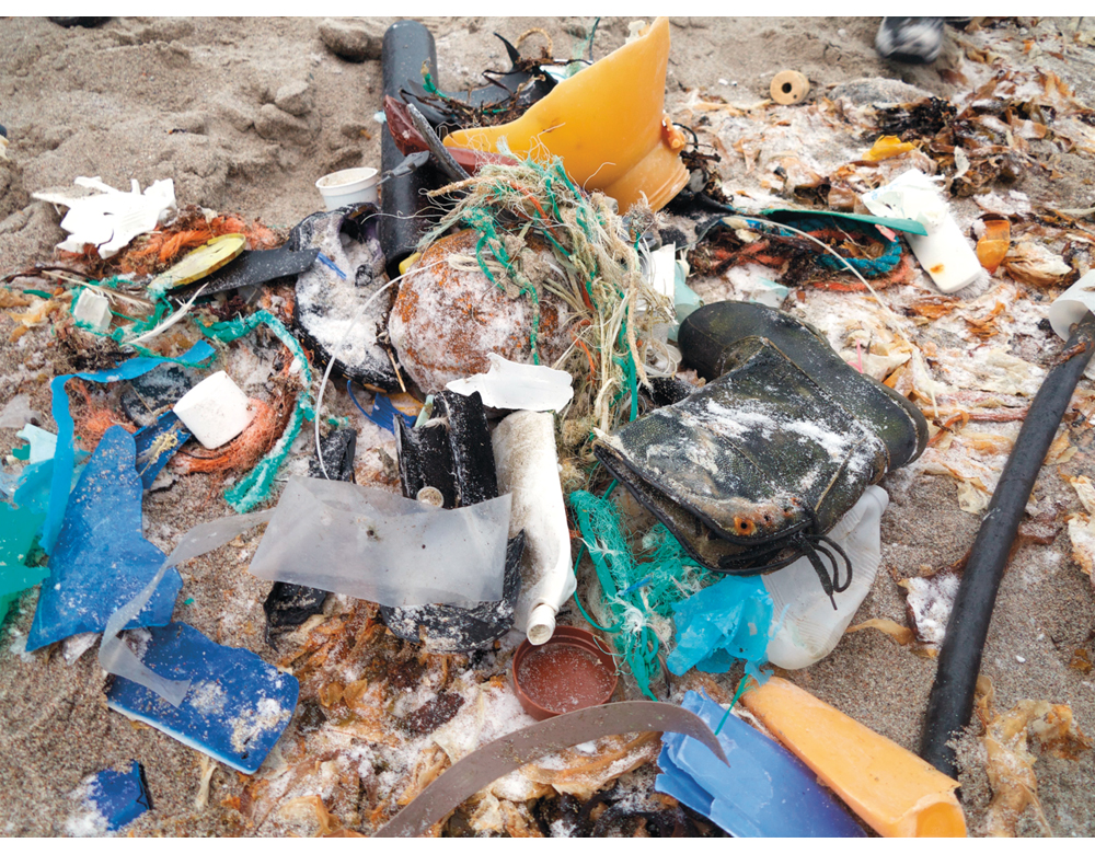 Figur 6.3 Havet og kysten tilføres store mengder avfall. Gjenstander av plast, gummi og andre lite nedbrytbare materialer kan bli værende i miljøet i hundrevis av år og skade dyr og mennesker. Bildet er tatt på en strand på Svalbard.

