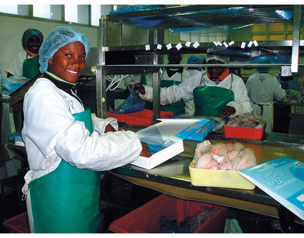 Figur 7.3 Pakking av fileter på Sea Work i Walvis Bay, Namibia.
