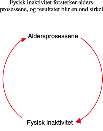 Figur 3.5 Fysisk inaktivitet forsterker aldersprosessene, og resultatet
blir en ond sirkel.