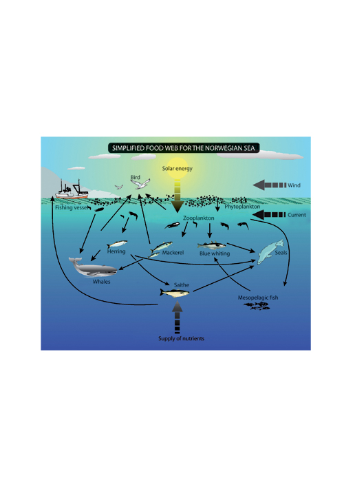 Figure 3-2.EPS Interactions in the marine ecosystem of the Norwegian Sea