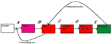 Figur 4.1 Stadier i utviklingen av tuberkulose