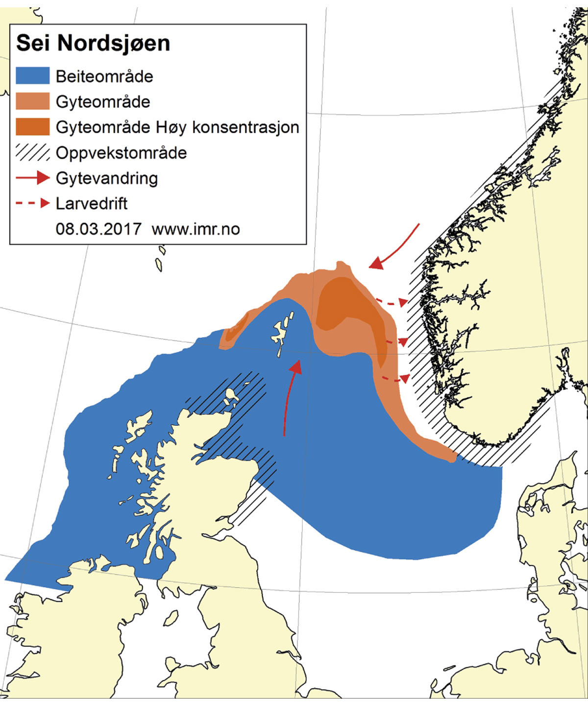 Figur 4.42 Utbreiingsområde og gyteområde for sei i Nordsjøen, Skagerrak og vest av Skottland.