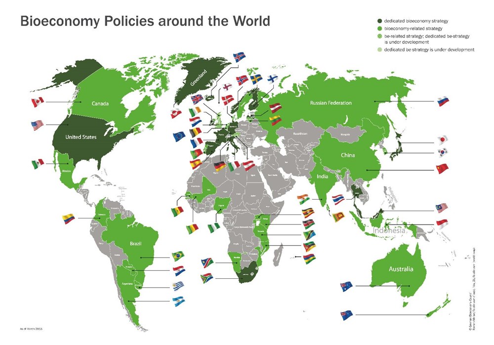 Bioeconomy Policies around the World.