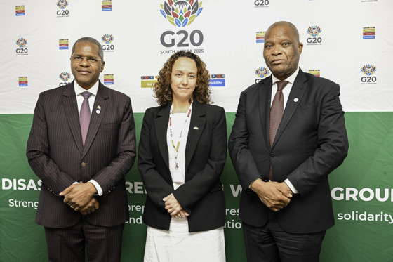 G20 in South Africa
