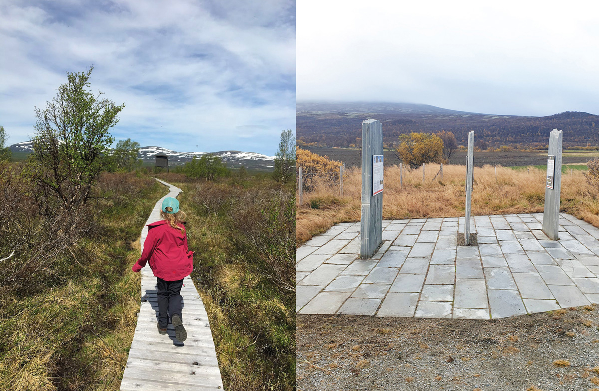 Figur 8.5 Fugletårn, gangbaner og infopunkt