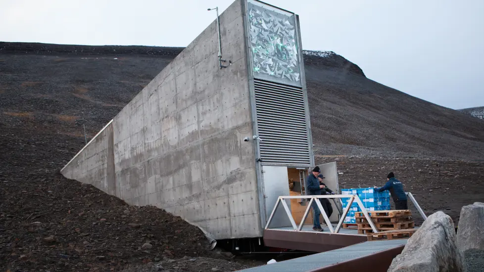 Svalbard globale frøkvelv