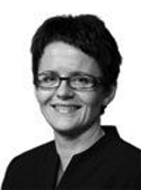 Berg-Hansen, Lisbeth (Ap) 20.10.09 – 16.10.13