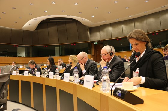 Utenrikskomiteen deltok i et årlig dialogmøte i Europaparlamentet under sitt besøk til Brussel. Foto: EU-delegasjonen. 