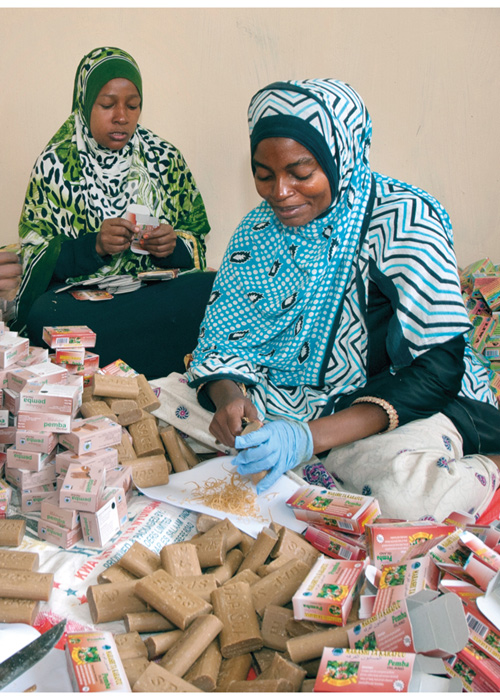 Figur 3.7 Da det ble strøm på øya Pemba i Tanzania, startet en kvinnegruppe såpeproduksjon. Fabrikken leverer cirka 2000 såpestykker i uka og eksporterer blant annet til Zanzibar, Arusha og Oman.
