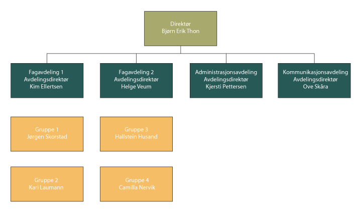 Figur 1.1 Organisasjonskart per 31. desember 2015, med ledergruppe og gruppeledere
