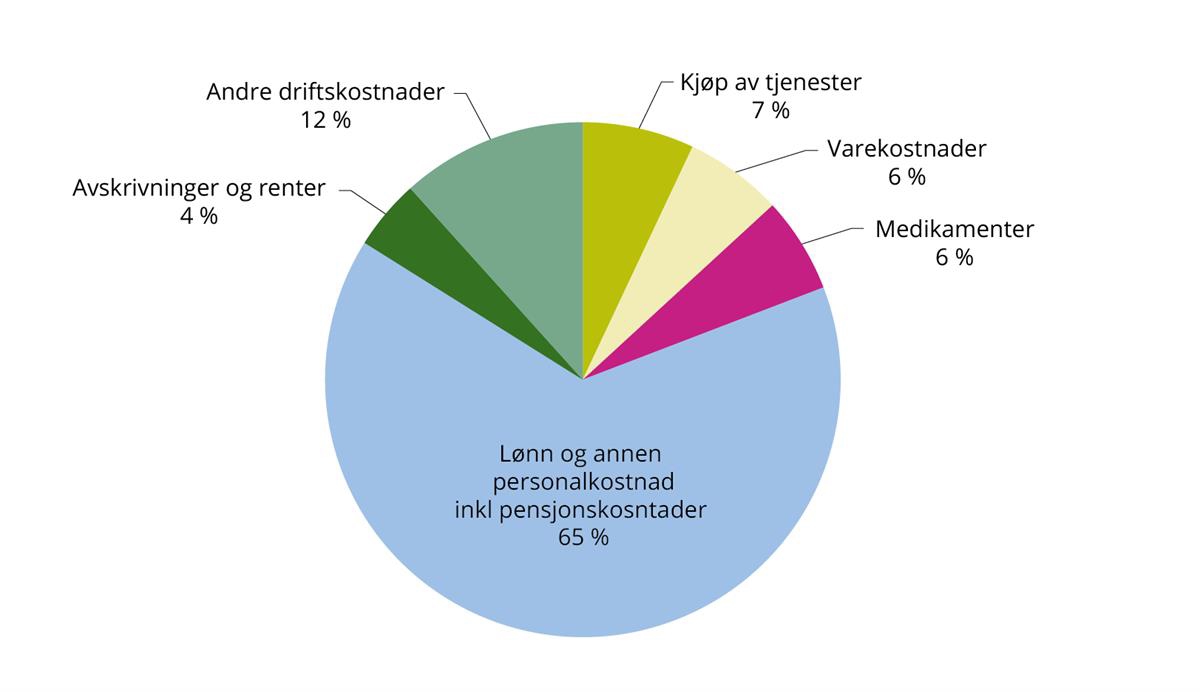 Kilde: De fire regionale helseforetakene sine årsregnskap for 2024, Helsedirektoratet, Statistisk sentralbyrå og Teknisk beregningsutvalg for spesialisthelsetjenesten.