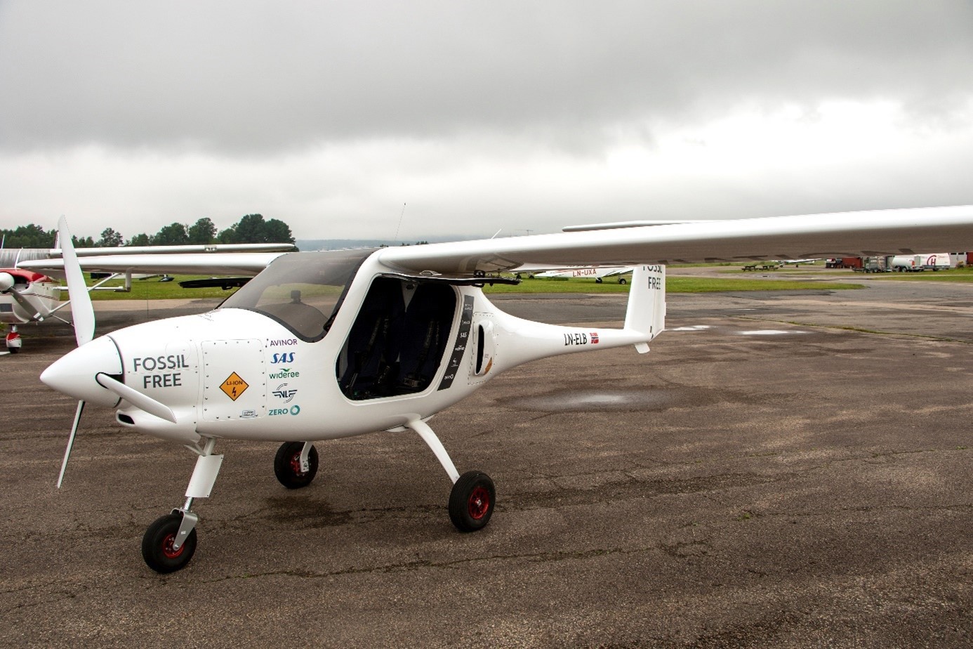 Elfly ved bakken.jpg