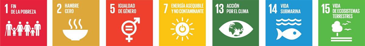 Objetivos de Desarrollo Sostenible a los que contribuimos