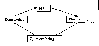 Figur 3.1 Økonomistyring - Læringssirkel
